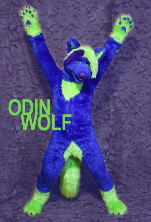 my_fursuit_by_odinwolf-d35n4ay.thumb.jpg