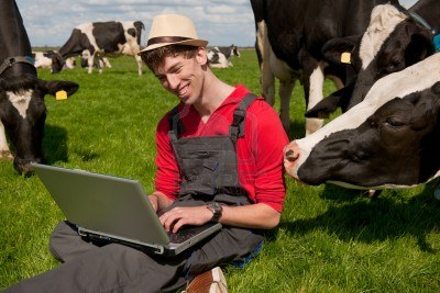 young-farmer-working-with-laptop-in-farm