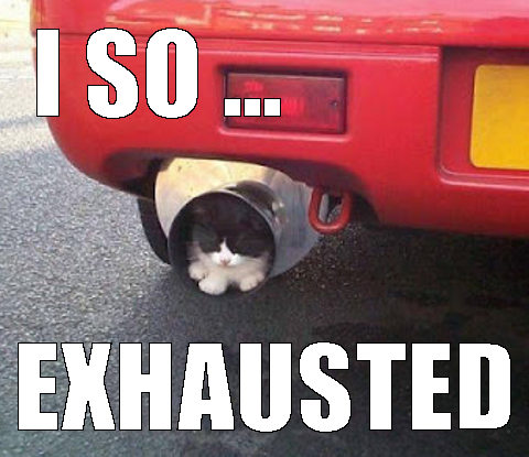 i-iz-exhausted-cat-meme.jpg