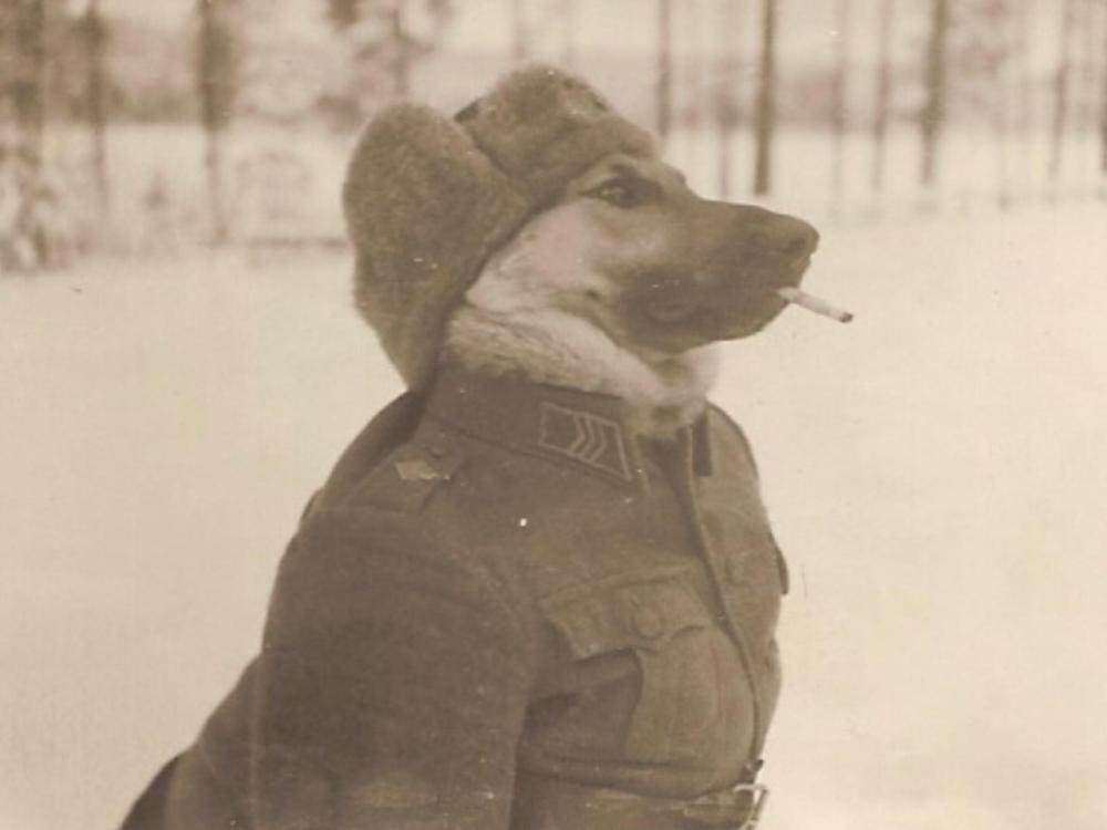 Commissar's Dog.jpg