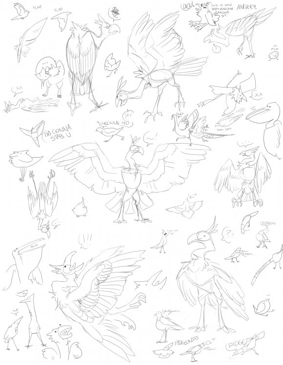 BIRB PAGE.png