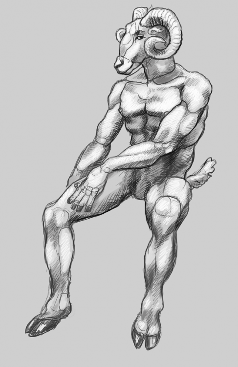 Sheep_sketch_cropped.png