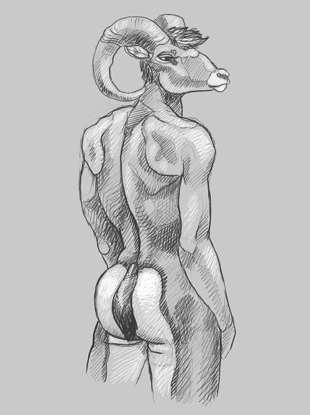 big_horn_sheep_sketch_cropped.png