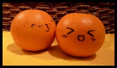 orange_cute.JPG