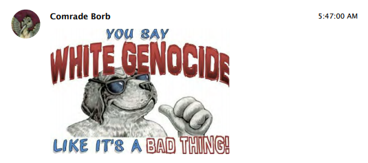 whitegenocide.png